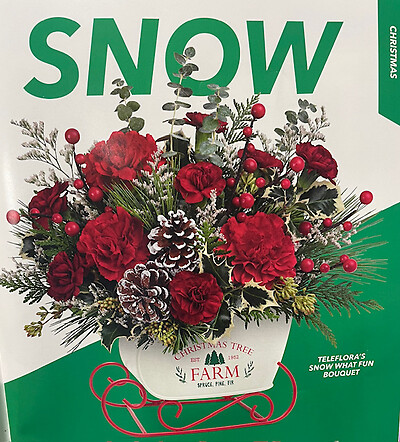 Teleflora&#039;s Snow what Fun bouquet